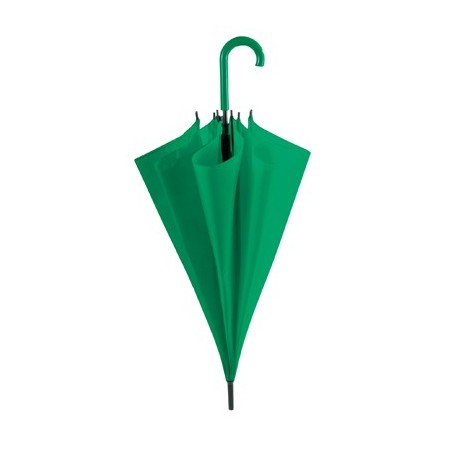 PARAPLUIE TORIC VERT