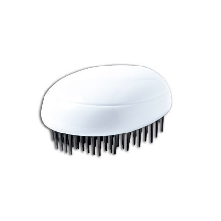 BROSSE ZILAM BLANC